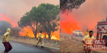 Gömeç yangının arkasındaki gerçek ortaya çıktı! 2 kişi tutuklandı