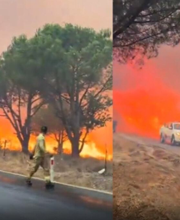Gömeç yangının arkasındaki gerçek ortaya çıktı! 2 kişi tutuklandı