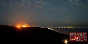 İzmir’de maki yangını