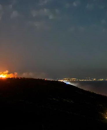İzmir’de maki yangını