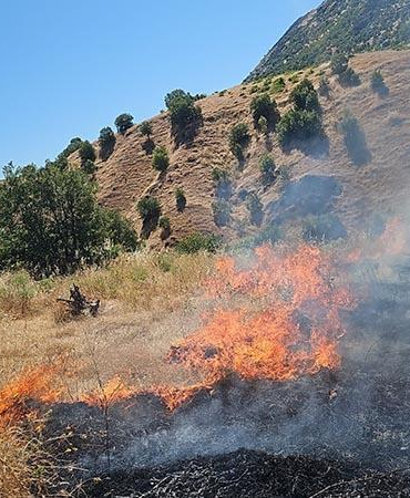 Diyarbakır’da örtü yangını