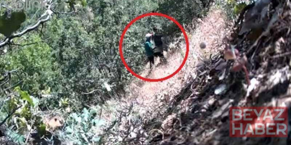 Kenevirlerin bakımını yaparken fotokapana yakalanan CHP ilçe başkanı ve oğluna gözaltı