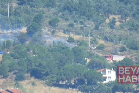 Cunda Adası