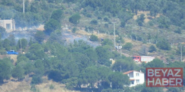 Cunda Adası