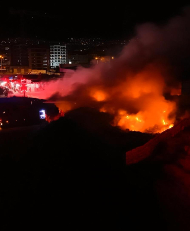 Bursa
