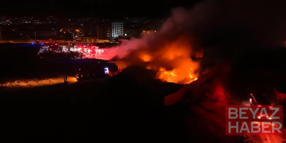 Bursa