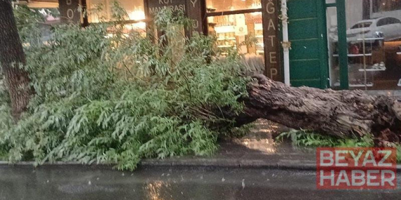 Kars’ta sağanak ve fırtına; yollar göle döndü, ağaç devrildi
