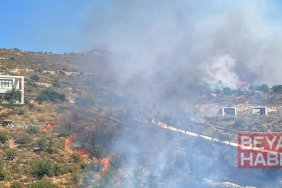 Bodrum'da otluk ve makilik alanda yangın