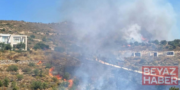Bodrum'da otluk ve makilik alanda yangın