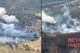 Bursa’da orman yangını