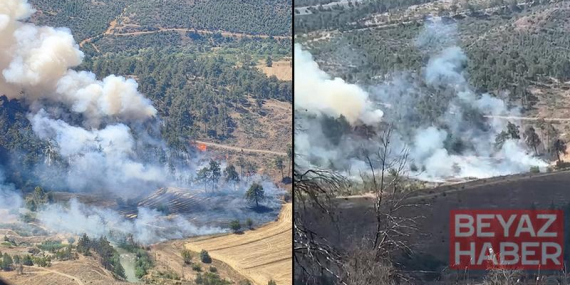Bursa’da orman yangını