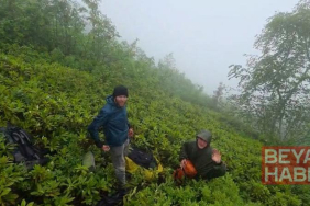 Rize