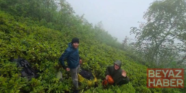 Rize