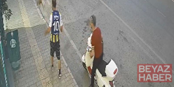 Kediye tekme atan şüpheli yakalandı