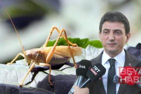 İstanbul İl Tarım Müdürü Parıldar: İstanbul