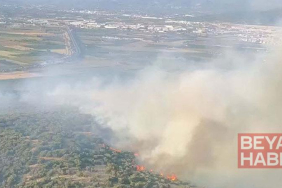 İzmir’de orman yangını
