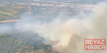 İzmir’de orman yangını