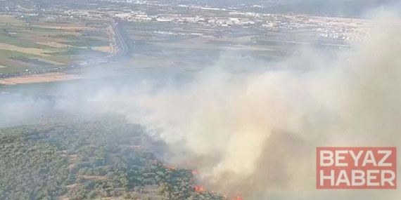 İzmir’de orman yangını