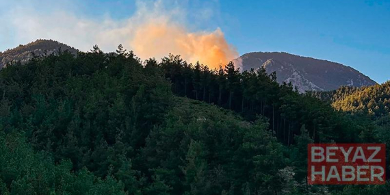 Adana’da orman yangınına havadan ve karadan müdahale