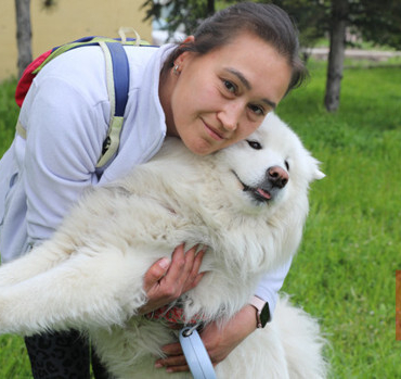 Trafik kazasında ölen 'Gofret' için tazminat kararı! 'Köpeğimi kaybettim ama mücadelem sonuç verdi'
