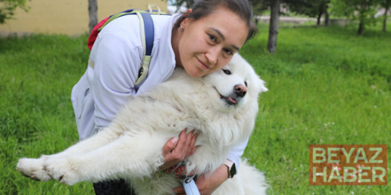 Trafik kazasında ölen 'Gofret' için tazminat kararı! 'Köpeğimi kaybettim ama mücadelem sonuç verdi'
