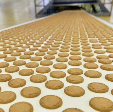 pladis, ‘global beslenme modeli’ oluşturduğunu duyurdu
