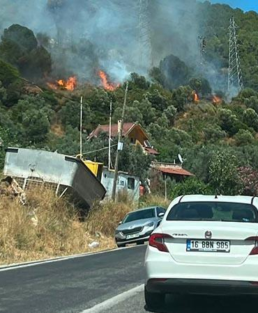 Yalova’da orman yangını