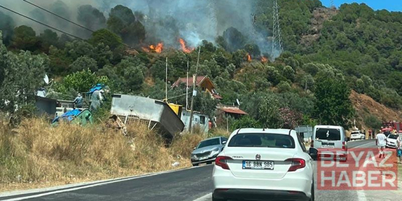 Yalova’da orman yangını
