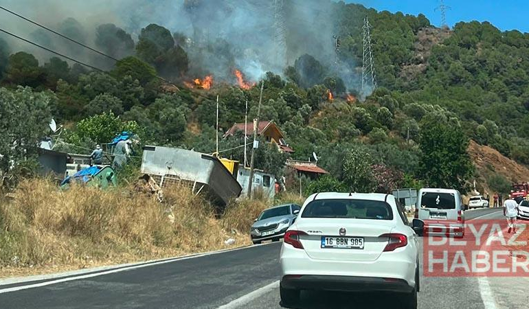 Yalova’da orman yangını