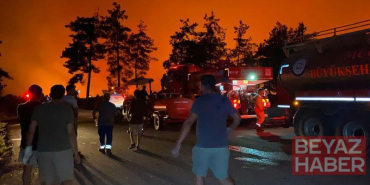 Fethiye’de orman yangını