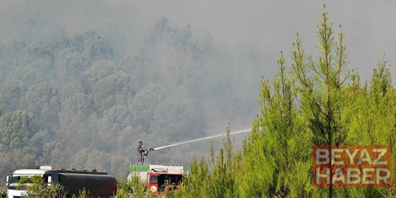 Balıkesir Gömeç