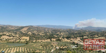 Aydın