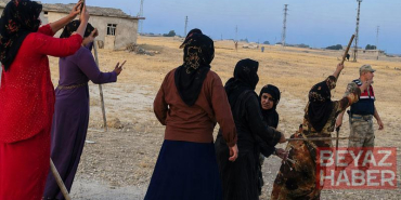 İki aile arasında pamuk tarlasında taşlı sopalı kavga; 8 yaralı