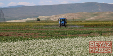 Erzincan'da alternatif ürünlerle tarımsal üretim çeşitleniyor