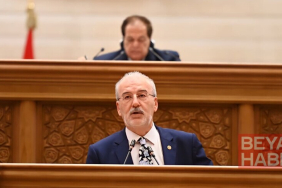 AK Parti Milletvekili Cevizoğlu, AİBPA Yönetim Kurulu Başkan Yardımcılığına seçildi