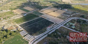 Arıtılmış atık sular üniversitede yeşil alanlarda ve tarımsal üretimde kullanılıyor