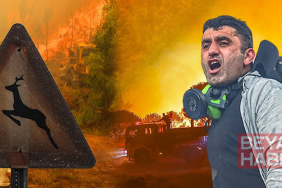 Orman yangınlarında son durum | En kritik nokta Aydın Çine, bölgede göz gözü görmüyor