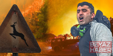 Orman yangınlarında son durum | En kritik nokta Aydın Çine, bölgede göz gözü görmüyor