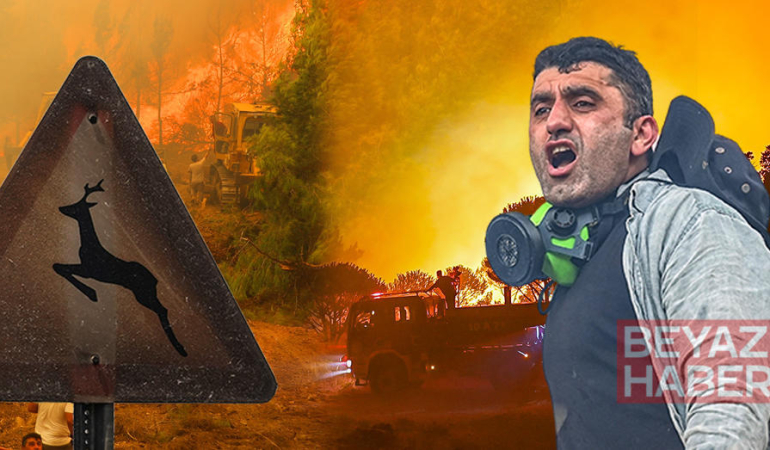 Orman yangınlarında son durum | En kritik nokta Aydın Çine, bölgede göz gözü görmüyor