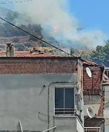 Marmara Adası’nda orman yangını