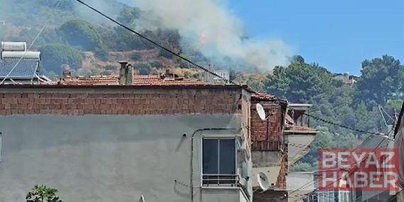 Marmara Adası’nda orman yangını