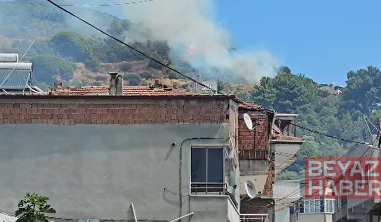 Marmara Adası’nda orman yangını