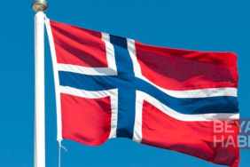 Norveç
