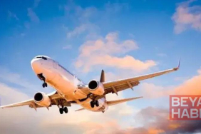2025 yılında pilotlar tarafından en çok kuş çarpma olayları rapor edildi