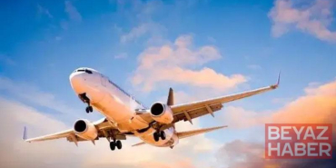 2025 yılında pilotlar tarafından en çok kuş çarpma olayları rapor edildi