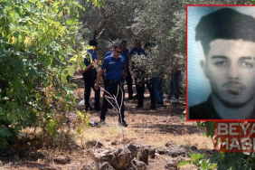 Zeytinlikte elleri arkadan bağlı cesedi bulundu