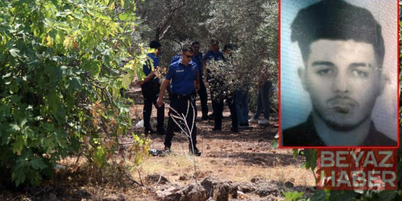 Zeytinlikte elleri arkadan bağlı cesedi bulundu