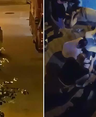 Kağıthane’de sokakta gördüğü eski sevgilisi ile erkek arkadaşını silahla vurdu: 2 ağır yaralı