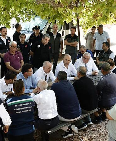 Orman yangınından etkilenen 5 ilde hasar tespit çalışmaları tamamlandı