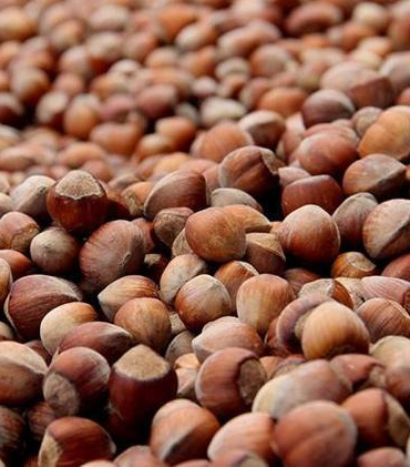 2026-2027 dönemi fındık alım fiyatları açıklandı
